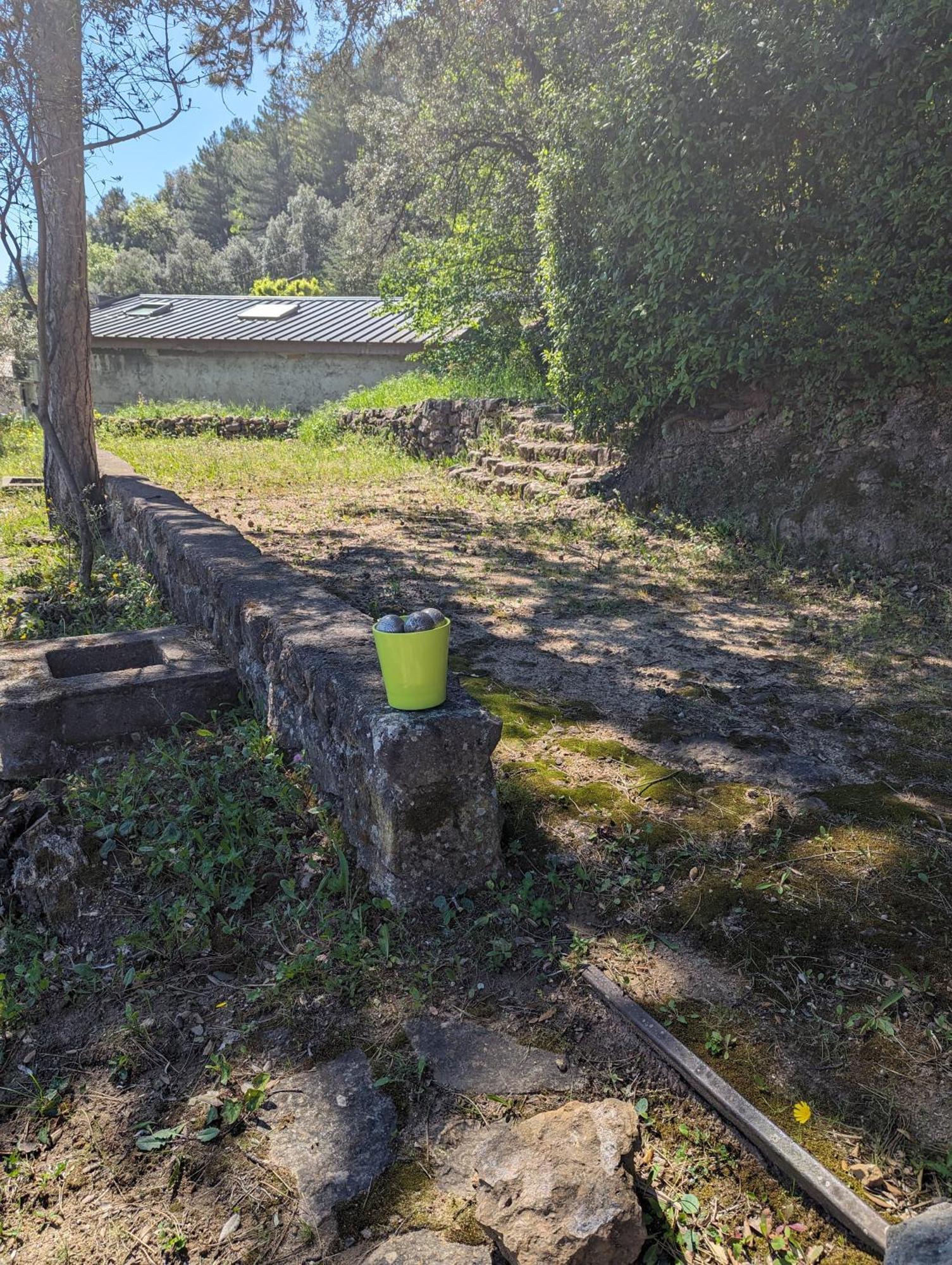Auberge Des Pins Aubenas Exteriör bild